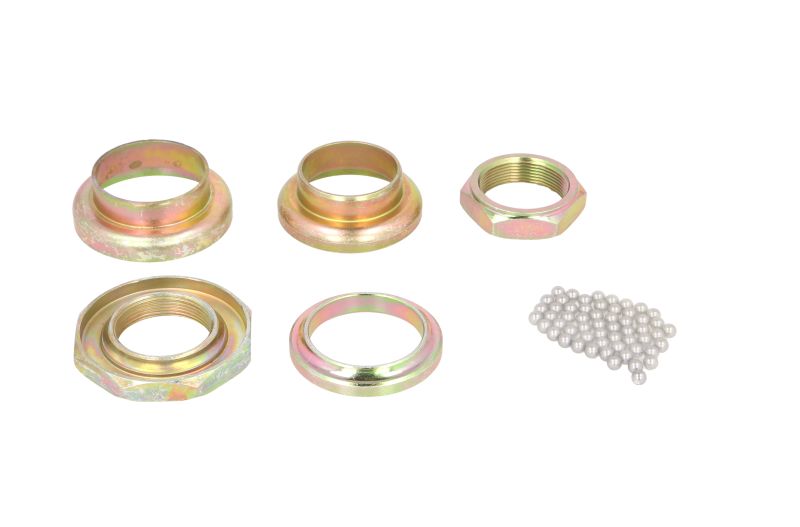 Kit rulmenți jug RMS 184220210