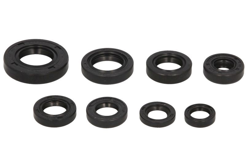 Set garnituri pentru motor WINDEROSA 822181 
