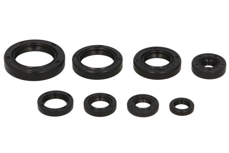 Set garnituri pentru motor WINDEROSA 822106 