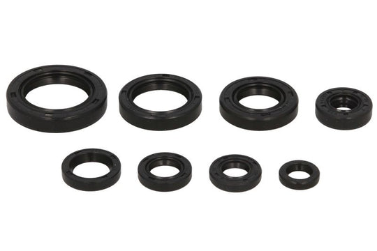 Set garnituri pentru motor WINDEROSA 822106 