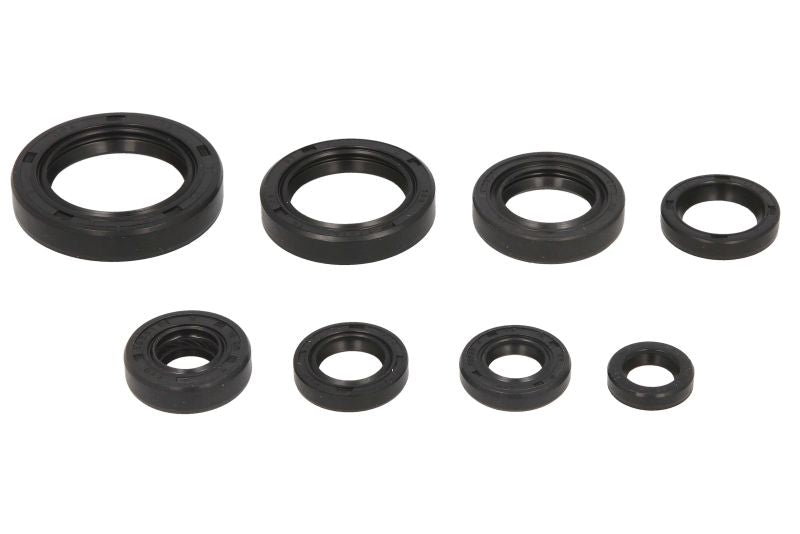 Set garnituri pentru motor WINDEROSA 822283 