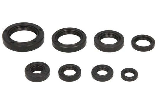 Set garnituri pentru motor WINDEROSA 822283 