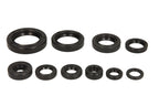Set garnituri pentru motor WINDEROSA 822265 