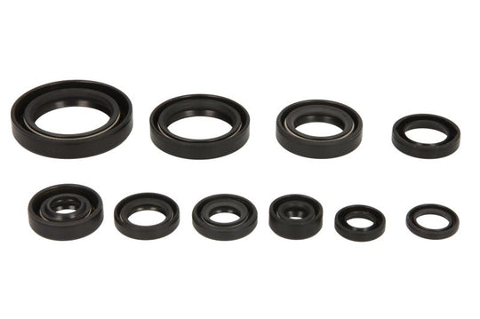 Set garnituri pentru motor WINDEROSA 822265 