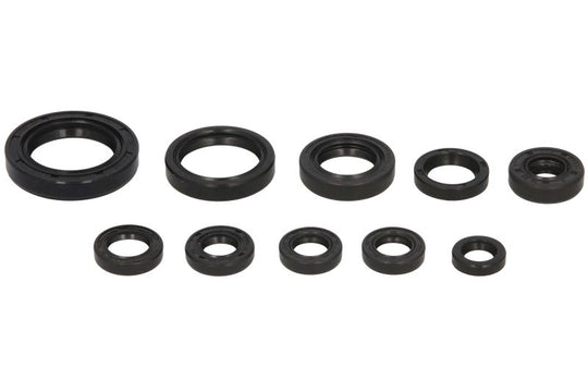 Set garnituri pentru motor WINDEROSA 822270 