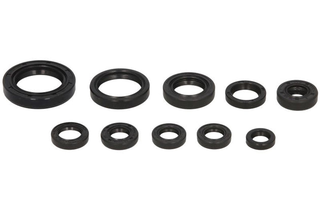 Set garnituri pentru motor WINDEROSA 822270 