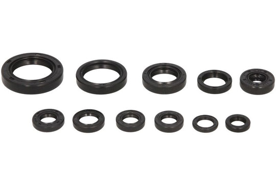 Set garnituri pentru motor WINDEROSA 822271 