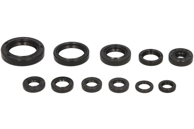 Set garnituri pentru motor WINDEROSA 822271 