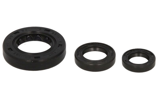 Set garnituri pentru motor WINDEROSA 822331 