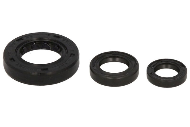 Set garnituri pentru motor WINDEROSA 822331 