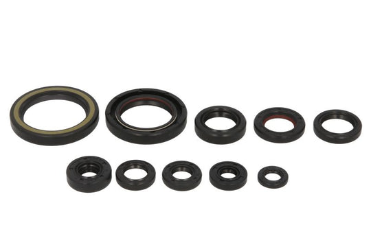 Set garnituri pentru motor WINDEROSA 822332 