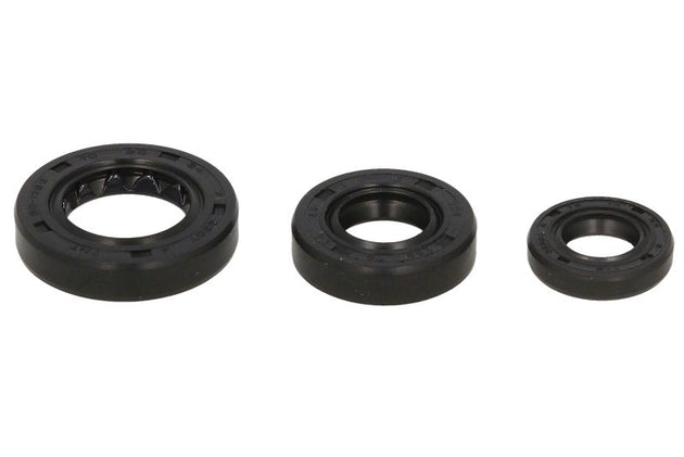 Set garnituri pentru motor WINDEROSA 822180 