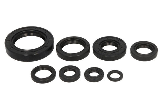 Set garnituri pentru motor WINDEROSA 822108 