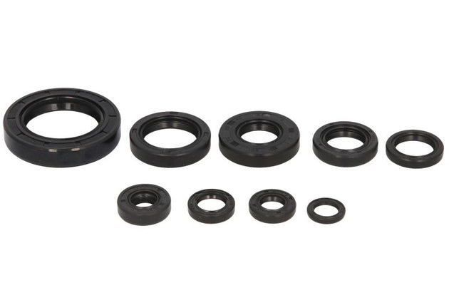 Set garnituri pentru motor WINDEROSA 822109