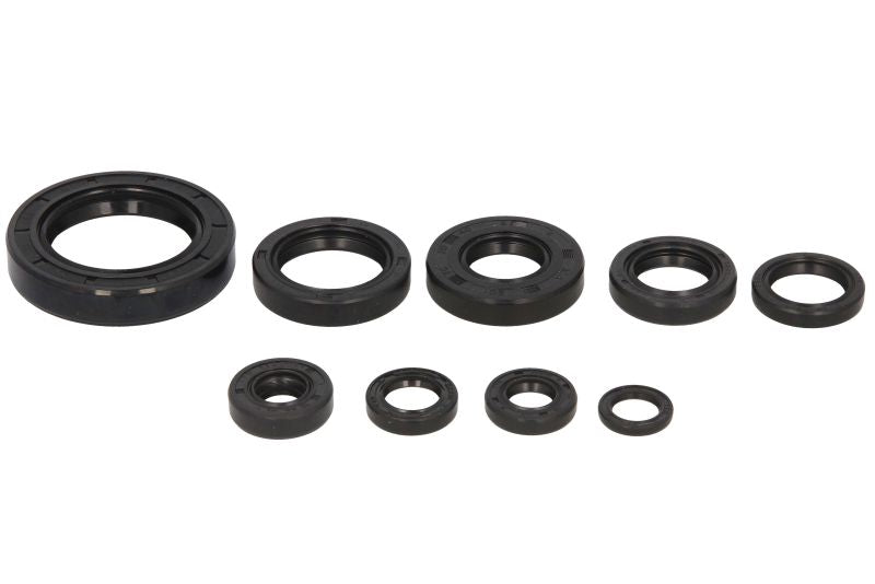 Set garnituri pentru motor WINDEROSA 822109 