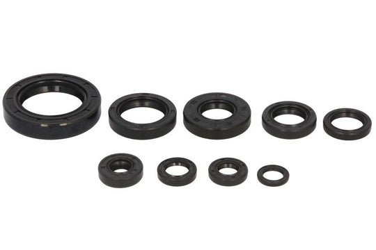 Set garnituri pentru motor WINDEROSA 822109 