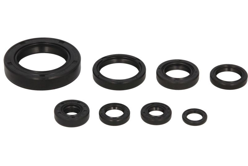 Set garnituri pentru motor WINDEROSA 822110