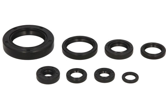Set garnituri pentru motor WINDEROSA 822110 