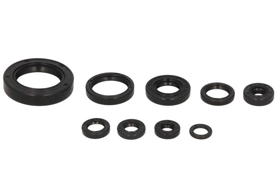 Set garnituri pentru motor WINDEROSA 822177 