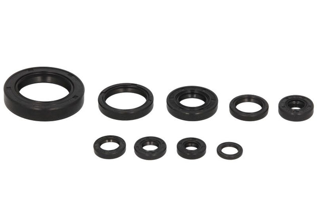 Set garnituri pentru motor WINDEROSA 822177 