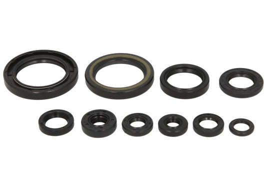 Set garnituri pentru motor WINDEROSA 822248 