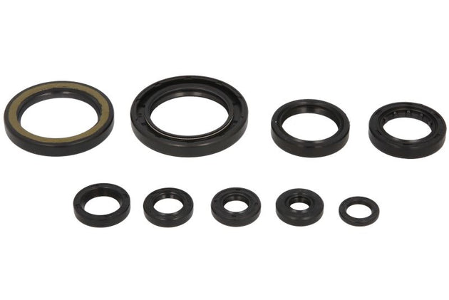 Set garnituri pentru motor WINDEROSA 822357 