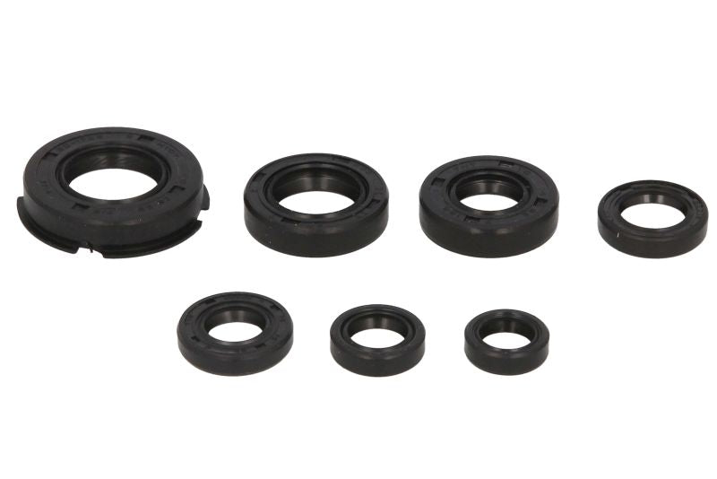 Set garnituri pentru motor WINDEROSA 822219 