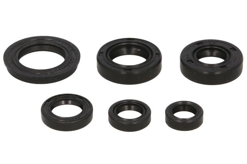 Set garnituri pentru motor WINDEROSA 822220 
