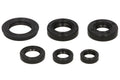 Set garnituri pentru motor WINDEROSA 822220 