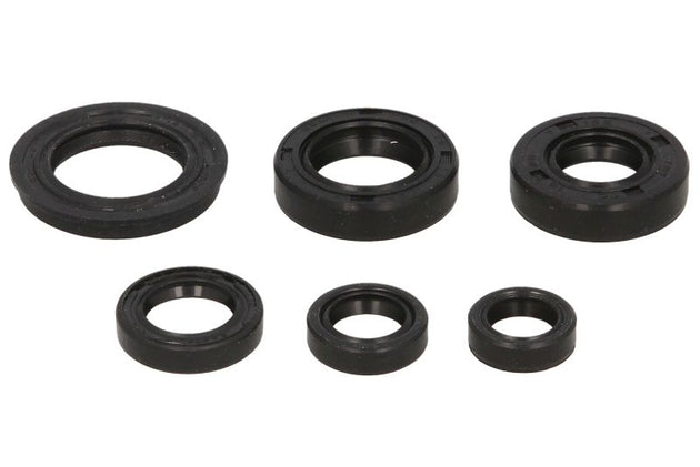 Set garnituri pentru motor WINDEROSA 822220 