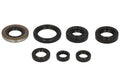 Set garnituri pentru motor WINDEROSA 822160 