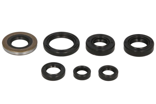 Set garnituri pentru motor WINDEROSA 822160 