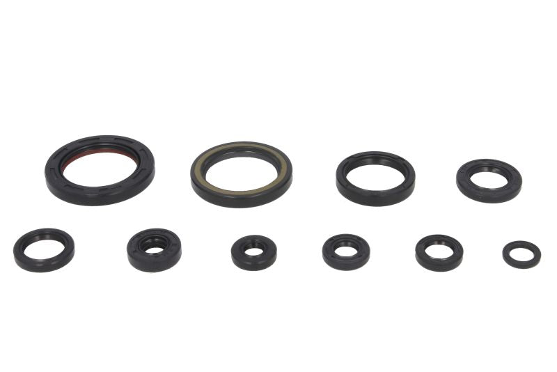 Set garnituri pentru motor WINDEROSA 822178 