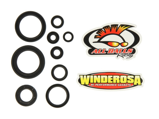 Set garnituri pentru motor WINDEROSA 822352 