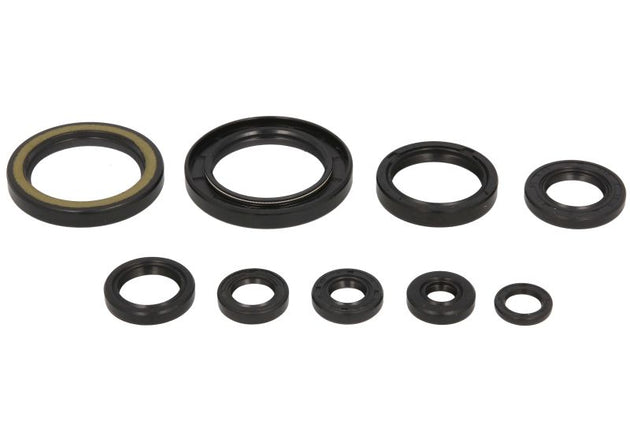 Set garnituri pentru motor WINDEROSA 822315 