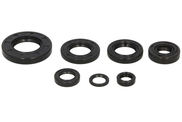 Set garnituri pentru motor WINDEROSA 822164 