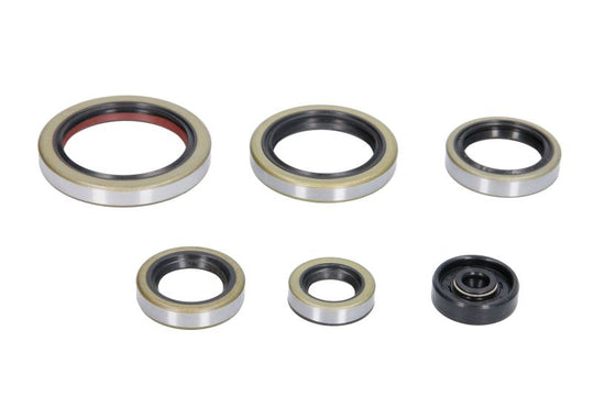 Set garnituri pentru motor WINDEROSA 822269 