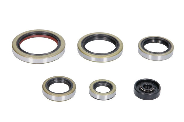 Set garnituri pentru motor WINDEROSA 822269 
