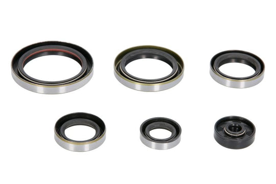 Set garnituri pentru motor WINDEROSA 822269 