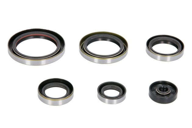 Set garnituri pentru motor WINDEROSA 822269 