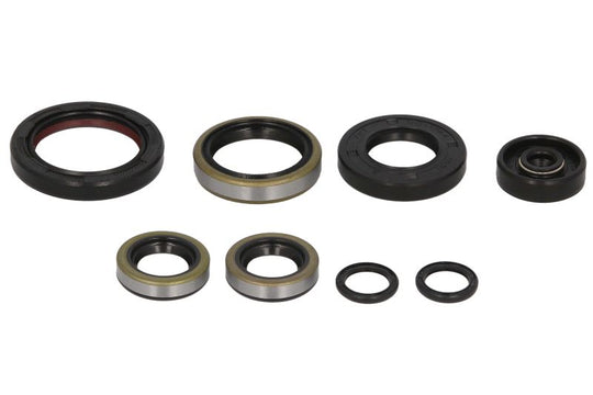 Set garnituri pentru motor WINDEROSA 822264 