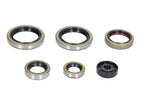 Set garnituri pentru motor WINDEROSA 822187 