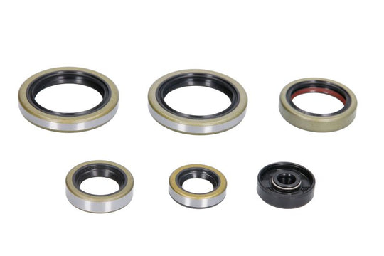 Set garnituri pentru motor WINDEROSA 822187 