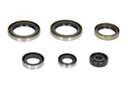 Set garnituri pentru motor WINDEROSA 822187 