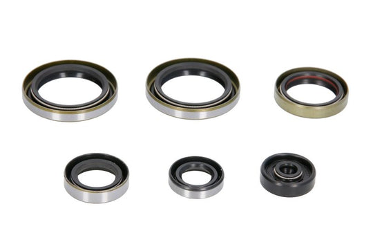 Set garnituri pentru motor WINDEROSA 822187 