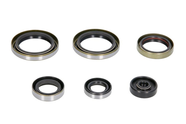 Set garnituri pentru motor WINDEROSA 822187 