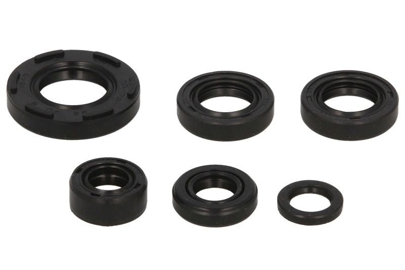 Set garnituri pentru motor WINDEROSA 822224 