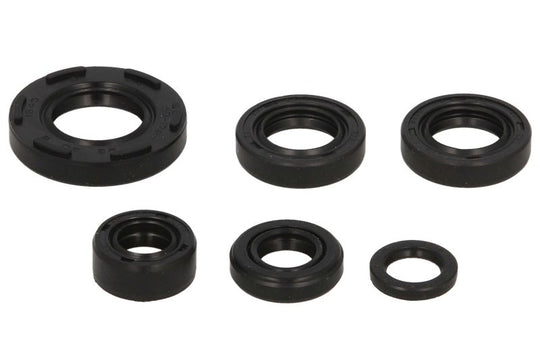Set garnituri pentru motor WINDEROSA 822224 