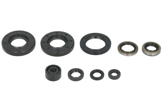 Set garnituri pentru motor WINDEROSA 822292 