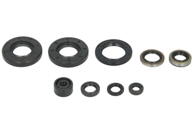 Set garnituri pentru motor WINDEROSA 822292 